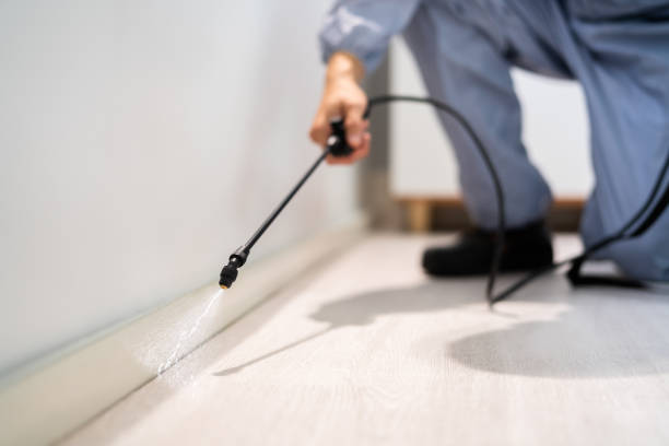 Licensed Pest Control service in Storrs, CT - Show Me Pest Control