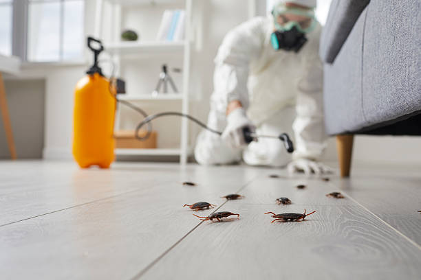 Commercial Kitchen Cockroach Control in Storrs